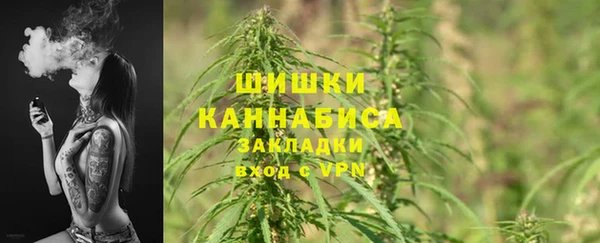 сатива Алзамай