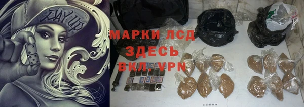 сатива Алзамай